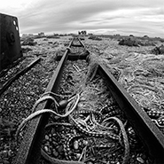 Dungeness railway